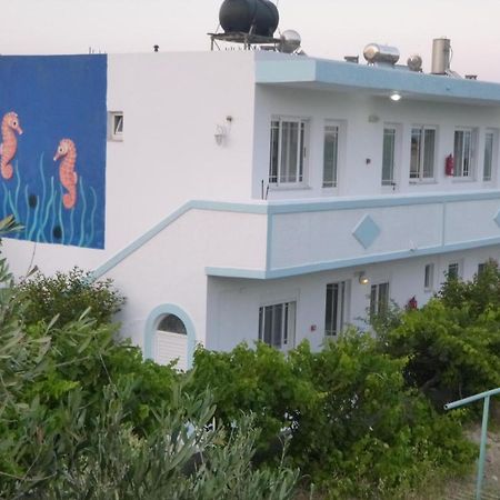 Ipokampos Apartment Kefalos  Bagian luar foto
