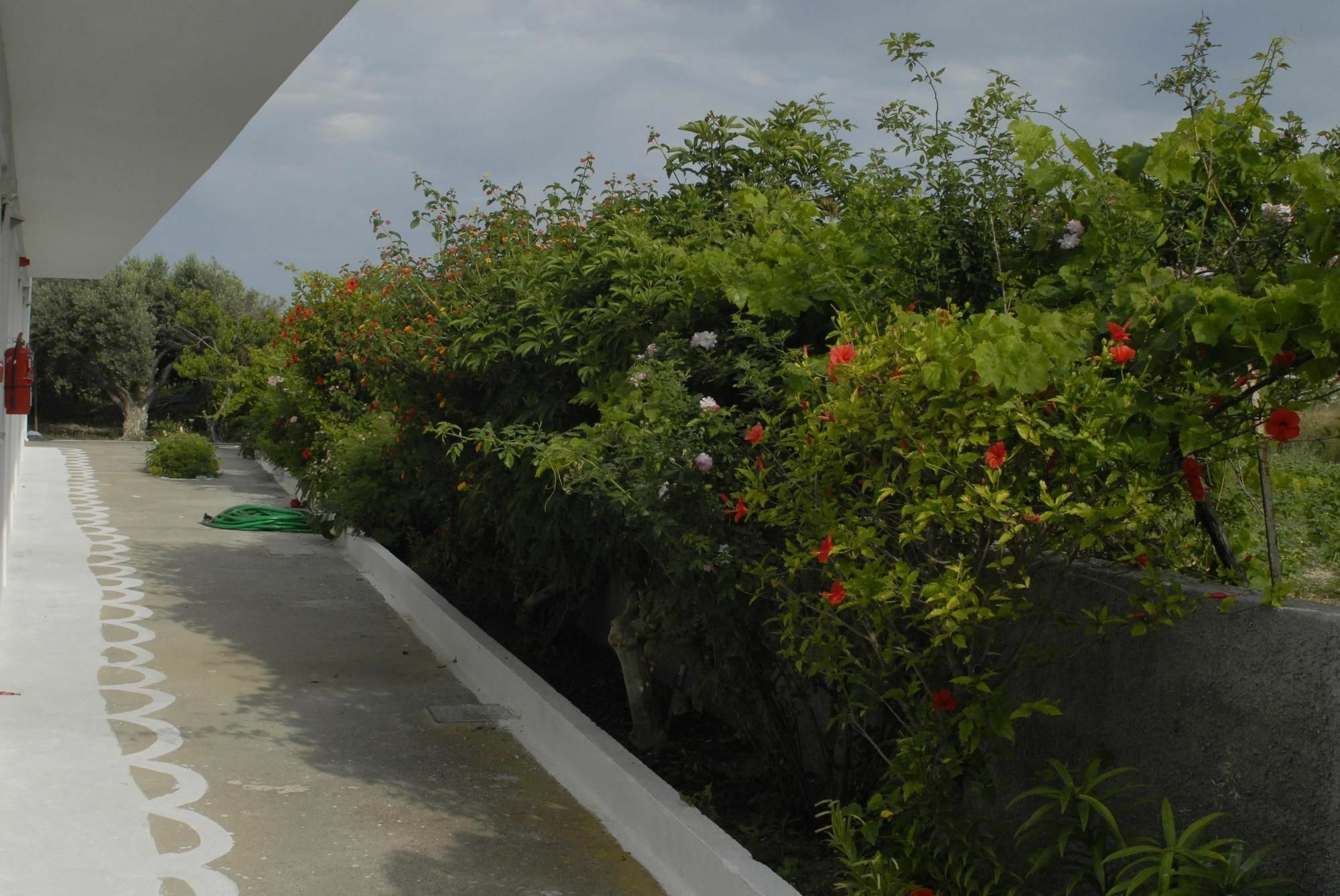 Ipokampos Apartment Kefalos  Bagian luar foto
